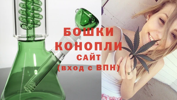 мдпв Надым